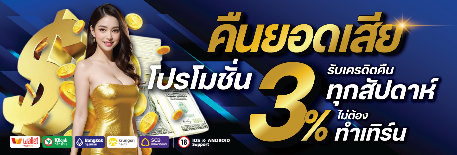 แบนเนอร์ 3